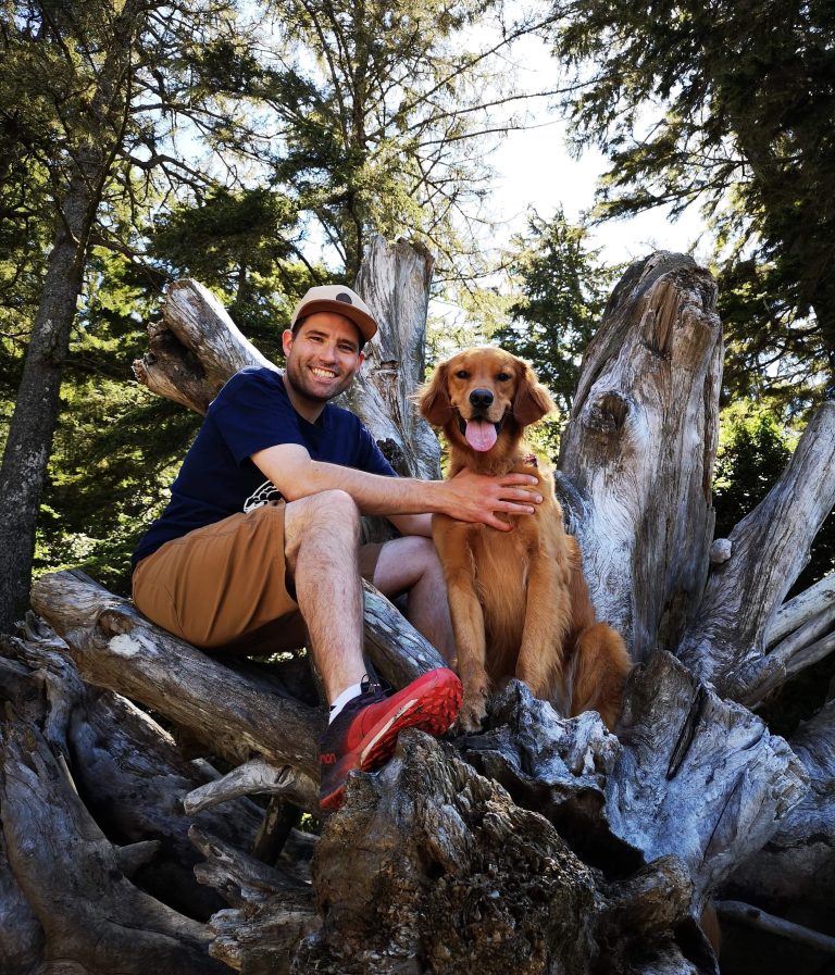 Steve Shaw Bjørneparken